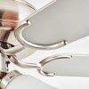 Stelo Deckenventilator mit Beleuchtung Naturfarben, Nickel-Matt, Silber, 3-flammig