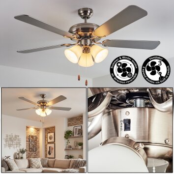 Stelo Deckenventilator mit Beleuchtung Naturfarben, Nickel-Matt, Silber, 3-flammig
