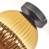 Koyoto Deckenleuchte Glas 20 cm Gold, 1-flammig