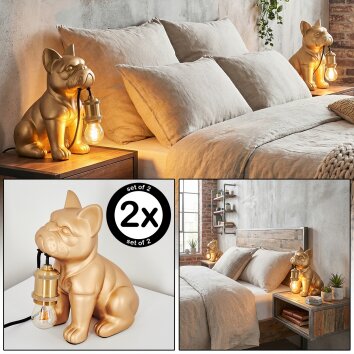 Harol Tischleuchte 2-er Set Gold, 1-flammig