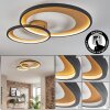 Baiyin Deckenleuchte LED Gold, Schwarz, 1-flammig