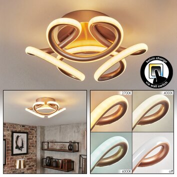 Jaren Deckenleuchte LED Champagnerfarben, 1-flammig