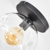 Ripoll Deckenleuchte Glas 25 cm Klar, 1-flammig