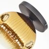 Ripoll Deckenleuchte Glas 25 cm Gold, Klar, 1-flammig