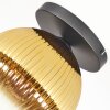 Koyoto Deckenleuchte Glas 25 cm Gold, Klar, 1-flammig
