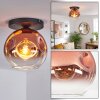 Ripoll Deckenleuchte Glas 25 cm Klar, Kupferfarben, 1-flammig