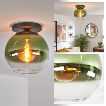 Koyoto Deckenleuchte Glas 30 cm Grün, Klar, 1-flammig