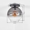 Koyoto Deckenleuchte Glas 30 cm Klar, Rauchfarben, 1-flammig