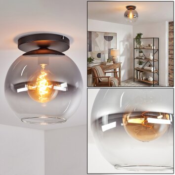 Koyoto Deckenleuchte Glas 30 cm Klar, Rauchfarben, 1-flammig