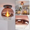 Koyoto Deckenleuchte Glas 30 cm Klar, Kupferfarben, 1-flammig