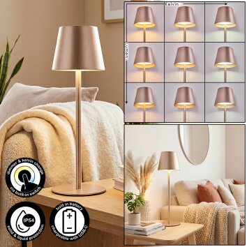 Salgadinho Tischleuchte LED Champagnerfarben, 1-flammig