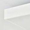 Kadin Deckenpanel LED Weiß, 1-flammig