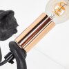 Chamäleon Lampe Lyrion Tischleuchte Gold, Schwarz, 1-flammig