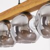 Ripoll Hängeleuchte Glas 15 cm Naturfarben, Schwarz, 5-flammig