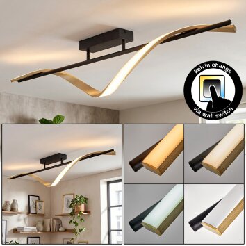 Kelon Deckenleuchte LED Schwarz, 1-flammig