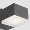 AEG Amity Außenwandleuchte LED Anthrazit, 2-flammig