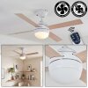 Deckenventilator Lenok mit Beleuchtung Ventilatorlampe Weiß Ø 106,6 cm mit Fernbedienung