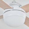 Deckenventilator Lenok mit Beleuchtung Ventilatorlampe Weiß Ø 106,6 cm mit Fernbedienung