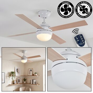Lenok Deckenventilator mit Beleuchtung LED Weiß, 1-flammig, Fernbedienung
