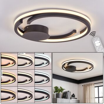 Miral flache LED Deckenleuchte dimmbar mit Fernbedienung, rundes Ringdesign Ø 48 cm