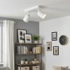 LED Deckenspot Lemak, zwei weiße konische Leuchtenköpfe, dreh- und schwenkbar