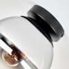 Kugel-Deckenleuchte Gastor mit chrom-, klar- und rauchfarbenem Glasschirm ø 20 cm, E27