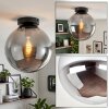 Gastor Kugel-Deckenleuchte mit Rauchglas, E27, Ø 25 cm, modern-vintage