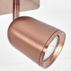 Lemak LED Deckenspot in Bronze, 2-flammiger Deckenstrahler dreh- und schwenkbar
