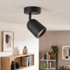 Moderner LED Deckenspot Lemak mit zylindrischem, dreh- und schwenkbarem Leuchtenkopf