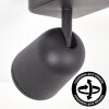 Lemak LED Deckenspot 2-flammig, GU10, dreh- und schwenkbare Metall-Spots