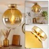 Gastor Deckenleuchte mit gold-klarer Glas-Kugel, Ø 25 cm, E27, Messing