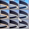 Narok LED Deckenleuchte im Ringdesign dimmbar mit Fernbedienung, Metall, 2400 Lumen