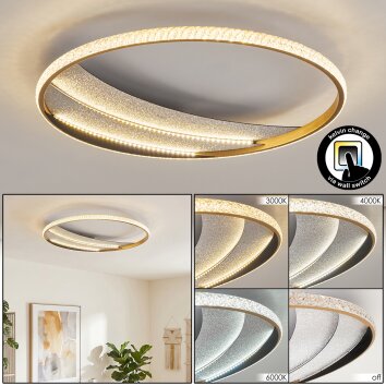 Calista runde LED Deckenleuchte flach aus goldfarbenem Metall, Ring-Design Ø 52 cm