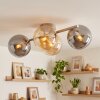Chehalis moderne Deckenleuchte mit Rauchglas-Kugeln ø 15 cm, 4-flammig, E14