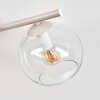 Koyoto Deckenleuchte mit klaren Glaskugeln Ø 15 cm, 4-flammig, E14, sandfarben-weiß