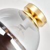 Moderne Kugelleuchte Gastor mit geschlossenem rauchfarbenem Glasschirm, ø 25 cm, E27