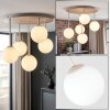 Kugelleuchte Chehalis, moderne Cluster-Anordnung mit 5 weißen Glasschirmen, G9-Fassung