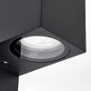 Kingstown Außenwandleuchte mit Bewegungsmelder im 2er-Set, IP44, klarer Glasschirm
