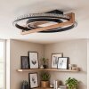 LED-Deckenleuchte Selani, dimmbar per Fernbedienung, Lichtfarbe einstellbar 2700-6500 Kelvin