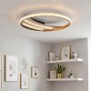 LED Deckenleuchte Calista mit Goldring, Lichtband, CCT-Lichtfarbe 3000 Kelvin warmweiß