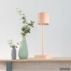 NOWA Lennart LED-Tischleuchte IP54 Champagner, moderne Tischlampe für Esszimmer