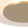 Steinhauer Lido LED dimmbare Deckenleuchte goldene Metall-Deckenleuchte modern