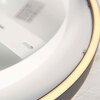 Steinhauer Ringlux dimmbare LED Deckenleuchte 3600 Lumen 2700 Kelvin 30 Watt Ø 40 cm