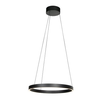 Steinhauer Mykty LED-Ring-Pendelleuchte, 2-flammig, höhenverstellbar, modern