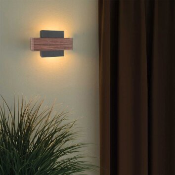 Steinhauer Muro moderne braune 2-flammige Wandlampe aus Metall dimmbar IP20 2700 K