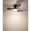 Globo Irwin LED Deckenventilator mit Beleuchtung und Fernbedienung, 1650 Lumen, 15W