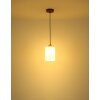 Globo Rowena Hängeleuchte mit braunem Holz-Glasschirm, E27, Ø 15 cm, Länge 120 cm, IP20