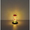 Globo Rosalina LED Rosen-Dekoleuchte mit goldfarbener Glaskuppel und An-/Ausschalter