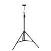 Globo Delgado LED Ringlicht-Stehlampe mit Stativ, dimmbar, 2700-6500 K