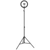 Globo Delgado LED Ringlicht-Stehlampe mit Stativ, dimmbar, 2700-6500 K